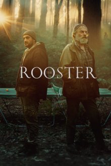 The Rooster | خروس